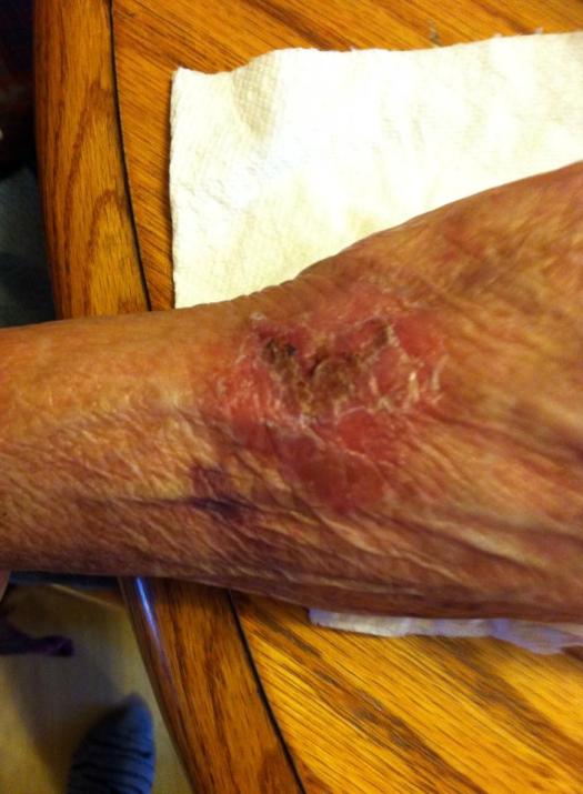 10432103_10204053113266367_1842471305308080870_n